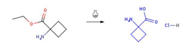 1-氨基-1-环丁基羧酸盐酸盐的合成路线