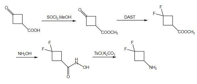 3,3-二氟环丁基胺合成路线