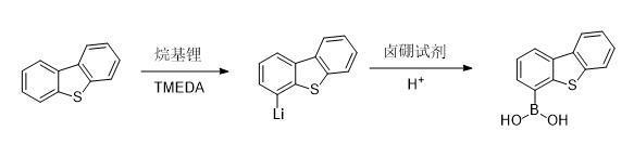二苯并噻吩-4-硼酸合成路线