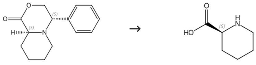 图1 L-2-哌啶酸的合成路线
