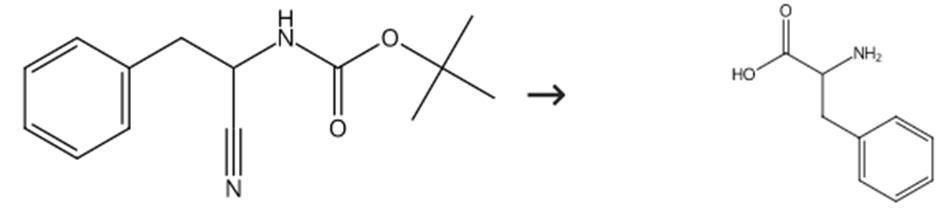图2 DL-苯丙氨酸合成路线
