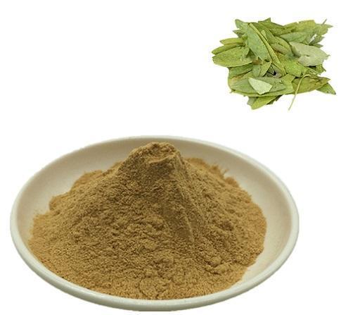 1.jpg 1.jpg