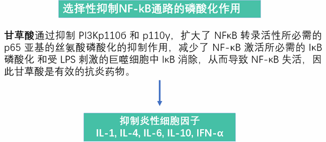 NF-κB