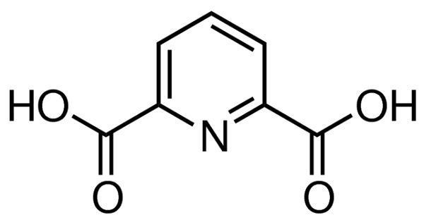 2,6-吡啶二甲酸.png