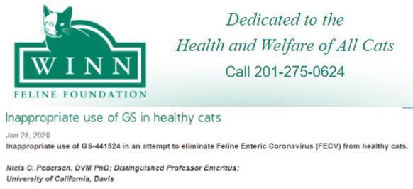 GS在健康猫中的不当使用