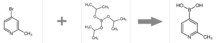 2-甲基-4-吡啶硼酸的合成反应式