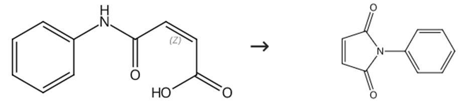 图2 N-苯基马来酰亚胺的合成路线