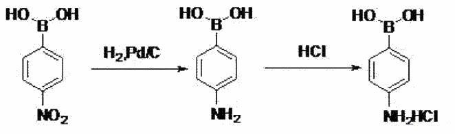 4-氨基苯基硼酸-制备2