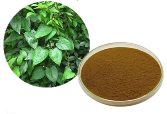 Celastrus angustifolia extract.jpg Celastrus angustifolia extract.jpg
