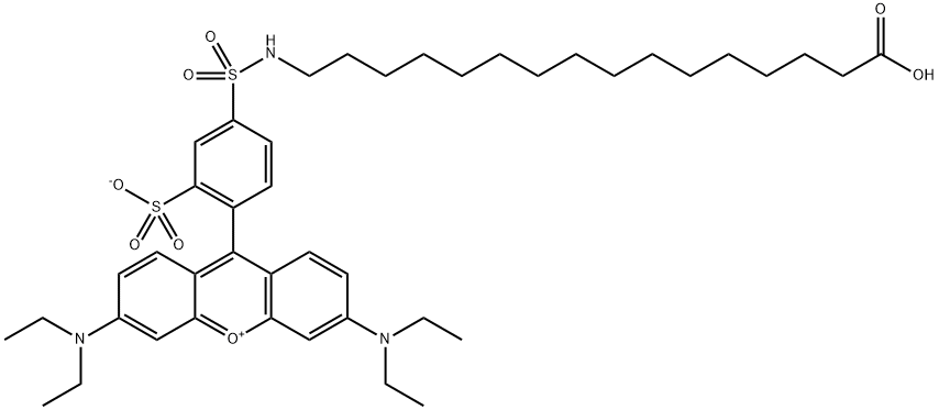 荧光脂质--赛可锐--现货Palmitic Acid - Lissamine Rhodamine[2260669-55-