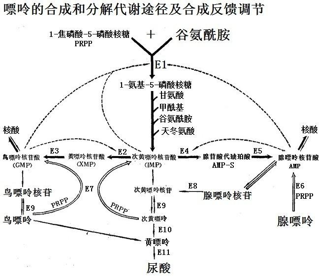 120-73-0 嘌呤 cas号120-73-0分子式、结构式、MSDS、熔点、沸点