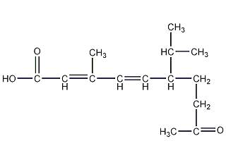 4—异丙基庚烷构造式图片