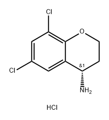 (S)-6,8-二氯苯并二氢吡喃-4-胺盐酸盐
