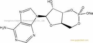 Cyclic Adenosine 3',5'-phosphate sodium salt