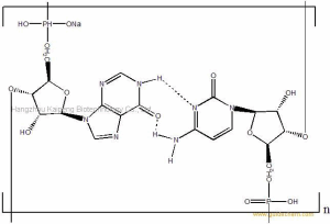 Polyinosinic-Ploycytidylic acid