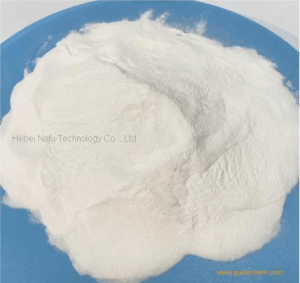 CAS 99-94-5 p-Toluic acid TOP quality best shipment
