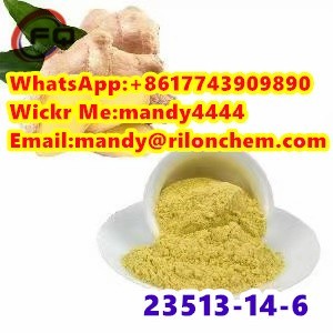 New 6-Gingerol on sale（23513-14-6）
