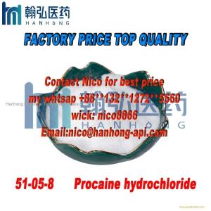 Free sample CAS 51-05-8 99% purity Procaine hydrochloride