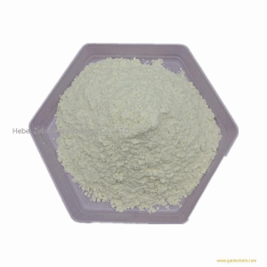 CAS 814-80-2 Calcium lactate