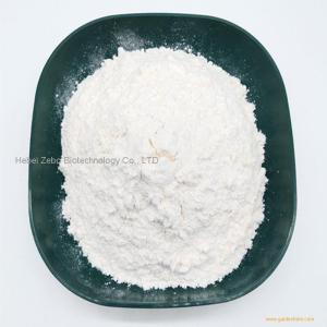 High Purity Sodium Acetate CAS 127-09-3 in Stock