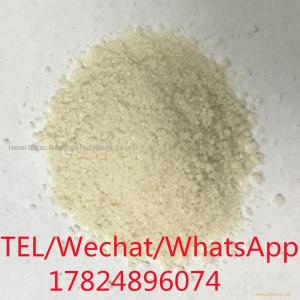 factory supply,VIP (human, mouse, rat) acetate salt