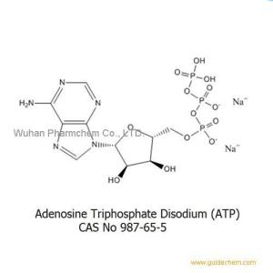 98% Adenosine Triphosphate Disodium Salt (ATP) C10H14N5Na2O13P3