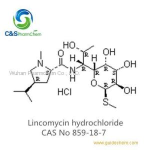 Lincomycin hydrochloride EP/USP
