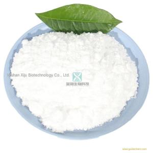 Pharmaceutical Raw Materials Nootropics Powder 99% Piracetam CAS 7491-74-9