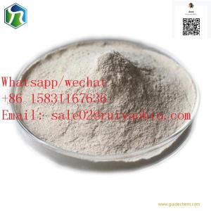 High Quality 11138-66-2 Food Grade 80mesh/200 Mesh Xanthan Gum Powder for Thickerner