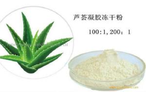 Aloe Vera Gel Freeze Dried Powder, Cosmetic raw materials