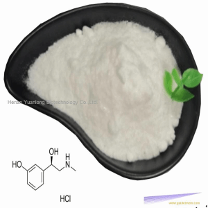 hot-sale Phenylephrine Hydrochloride 99% powder