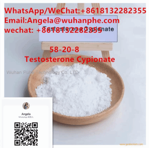 Testosterone Cypionate powder Powder With Safe Delivery CAS NO.58-20-8