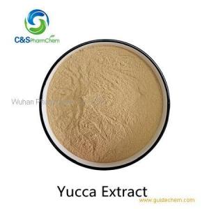 Yucca Root Extract EINECS 290-449-0 Yucconin 80%