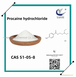 procaine hcl 51-05-8