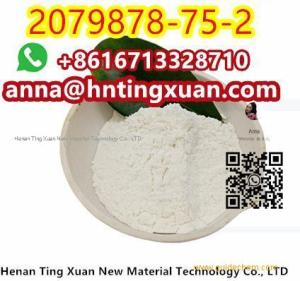 High quality 2-(2-Chlorophenyl)-2-nitrocyclohexanone 99% white powder 2079878-75-2 tingxuan