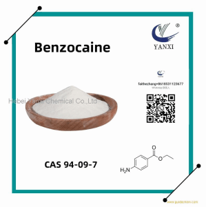 Pharmaceutical Intermediate Benzocaine Powder Benzocaine Base CAS 94-09-7