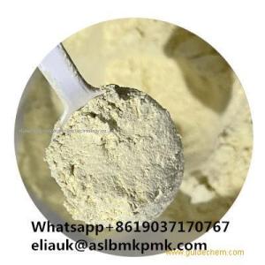 High purity Zein high quality above 99%