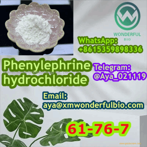 cas 61-76-7 Phenylephrine hydrochloride