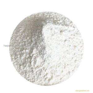 High Quality Synthesis Camphor Powder/Camphor Blocks / Camphor Tablets CAS 76-22-2