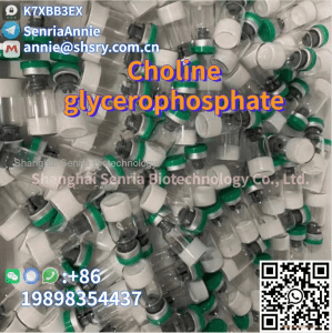 Digestive system medication/liver disease adjuvant medication best price 99% high purity Pharmaceutical raw materials Phenibut CAS Choline glycerophosphate CAS 28319-77-9 For the preparation of Antidepressant 2-3 days fast delivery 100% safely pass customs