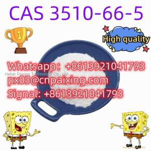Wholesale price CAS 3510-66-5 2-Bromo-5-methylpyridine
