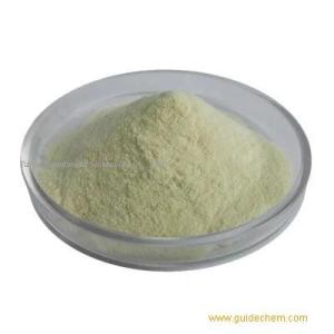 Sample Available Xanthan Gum CAS Number 11138-66-2 with fast delivery with best price