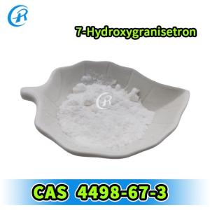 Top Grade 7-Hydroxygranisetron CAS 4498-67-3 with Wholesale Price