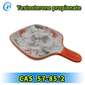 99% Purity Testosterone propionate CAS 57-85-2 with Safe and Fast Delivery